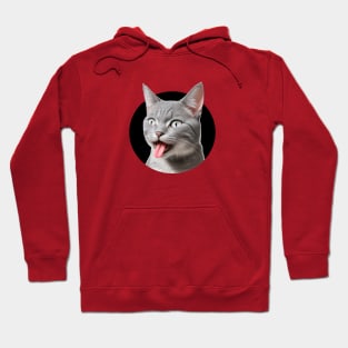 Hilarious, mocking cat. Have fun! Hoodie